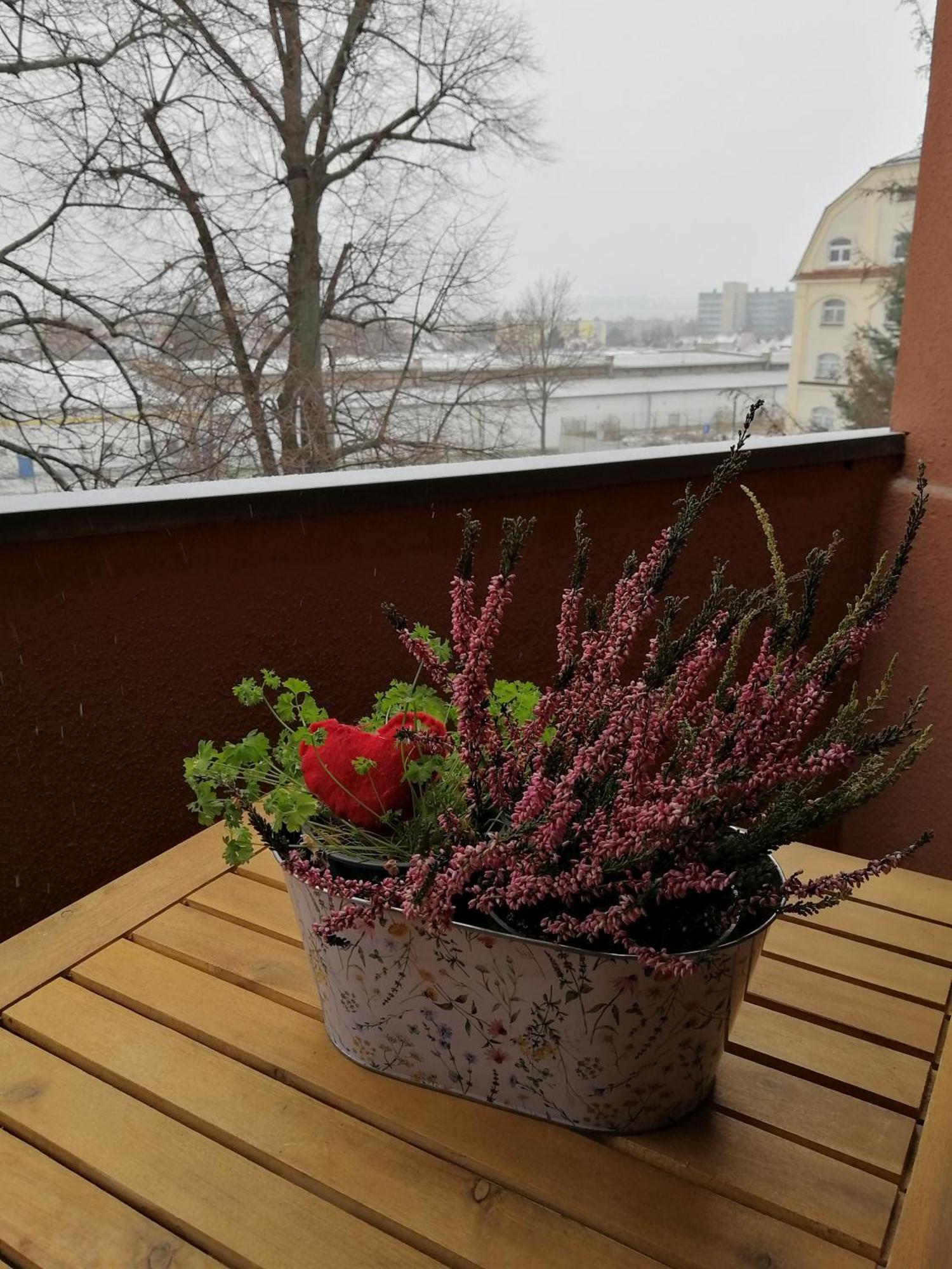 Fewo Lichtblick Bautzen Dış mekan fotoğraf